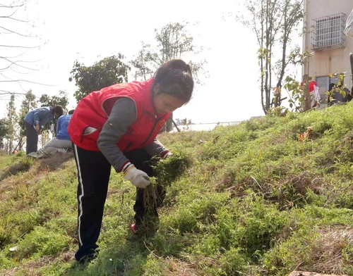 微信图片_20230305223455