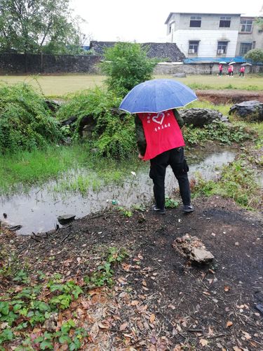 QQ图片20181121125806