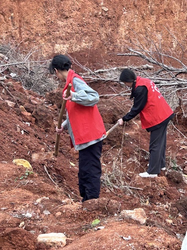 -35981c0e0f26358d(2)