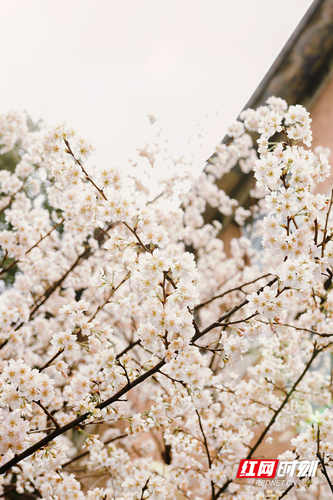 1678843023998-tvzjuvw365